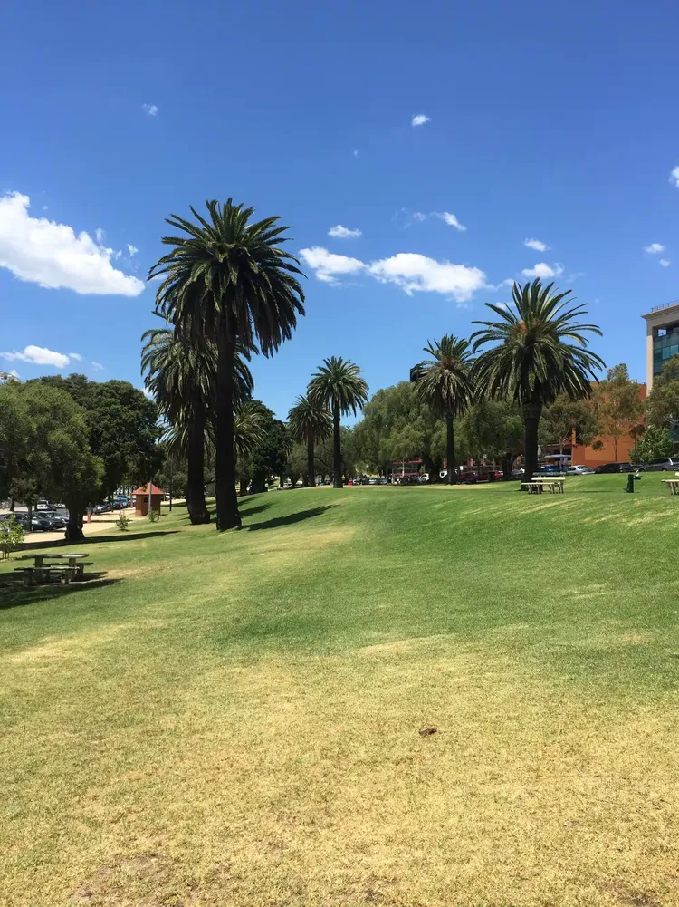 奇异果体育- 澳大利亚选手 